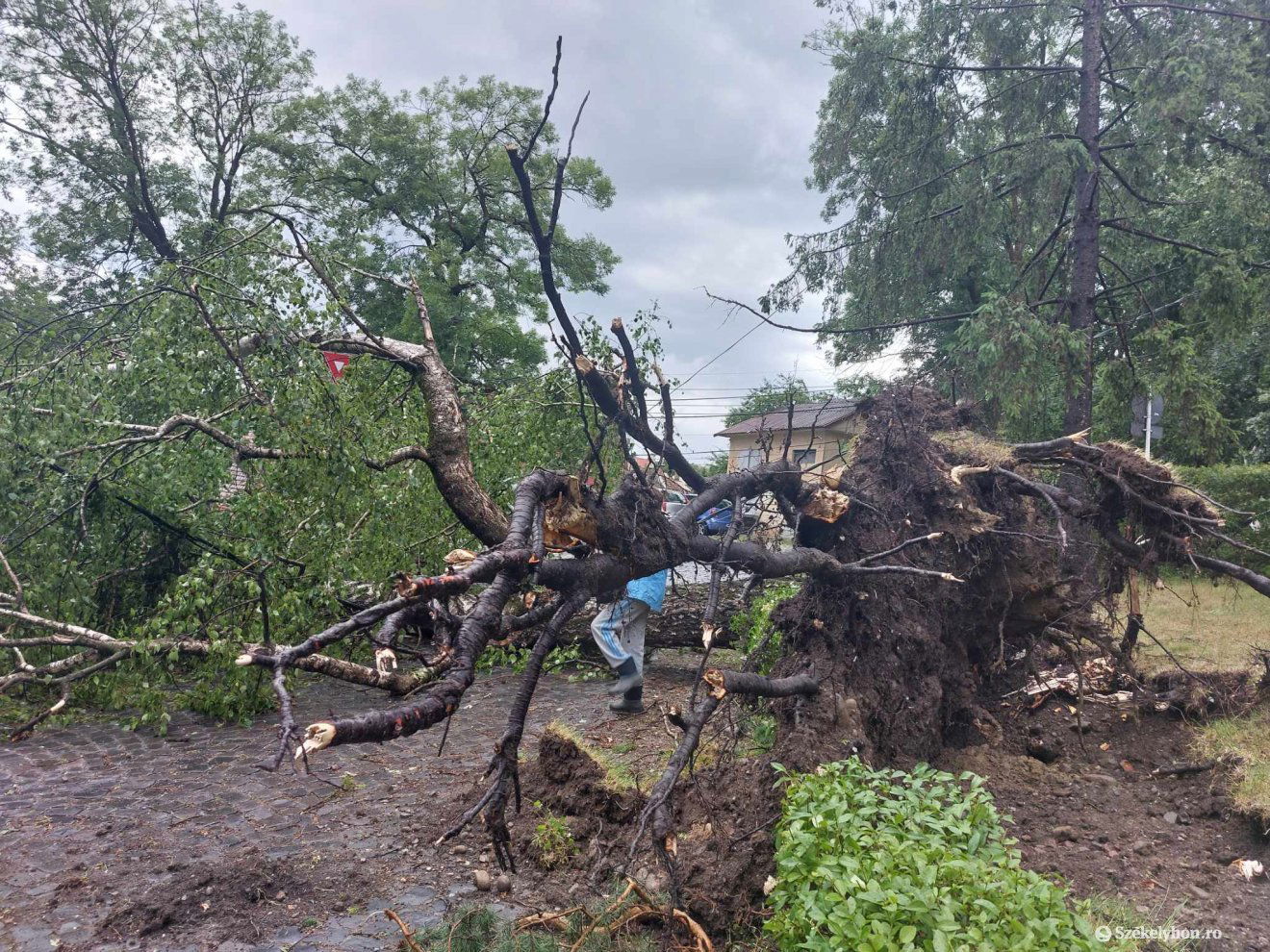 •  Fotó: Székelyhon