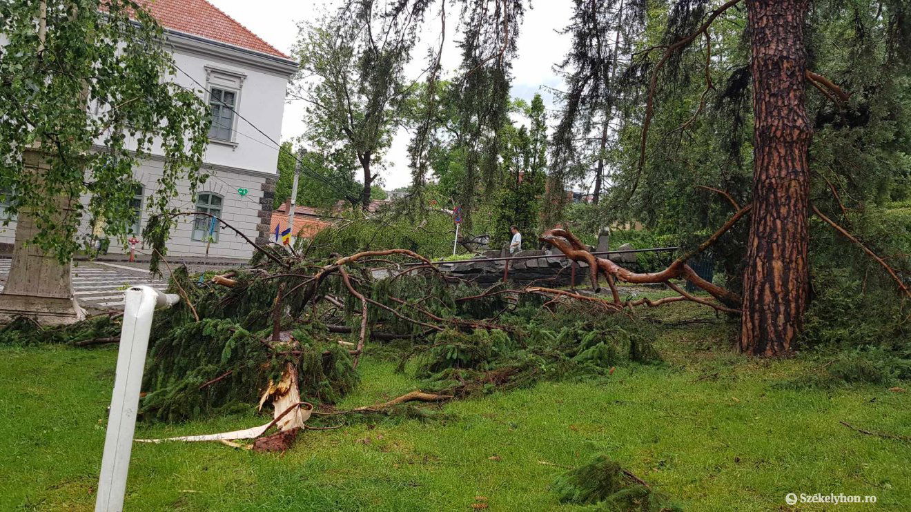 •  Fotó: Székelyhon