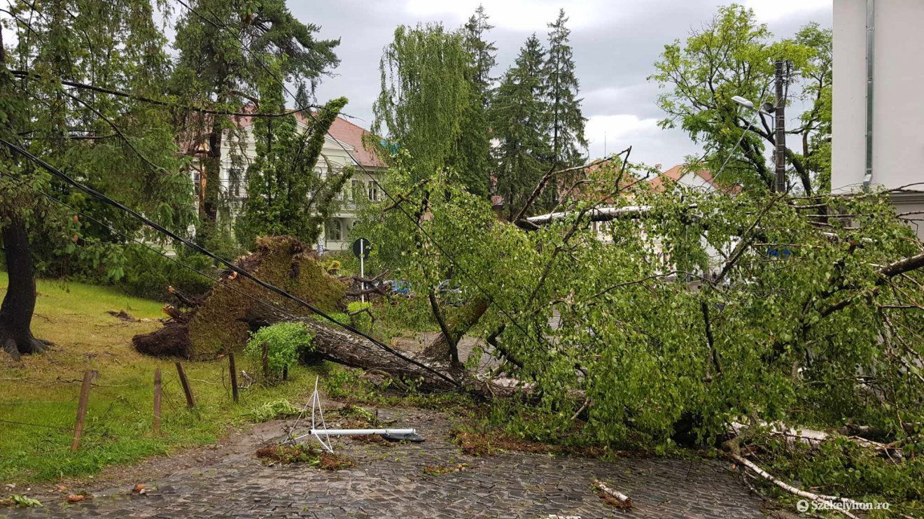 •  Fotó: Székelyhon