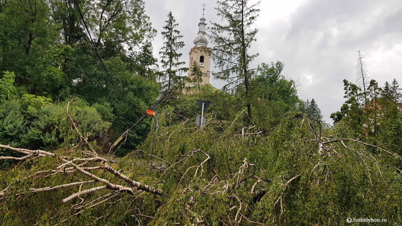 •  Fotó: Székelyhon