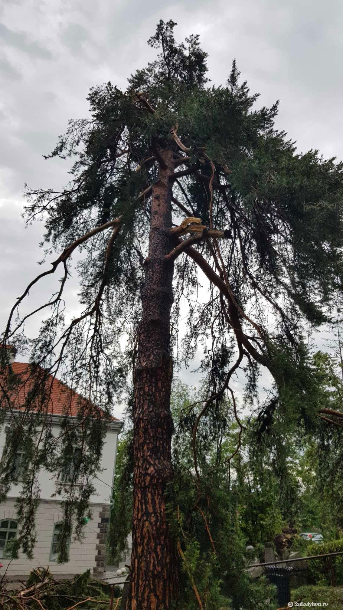 •  Fotó: Székelyhon