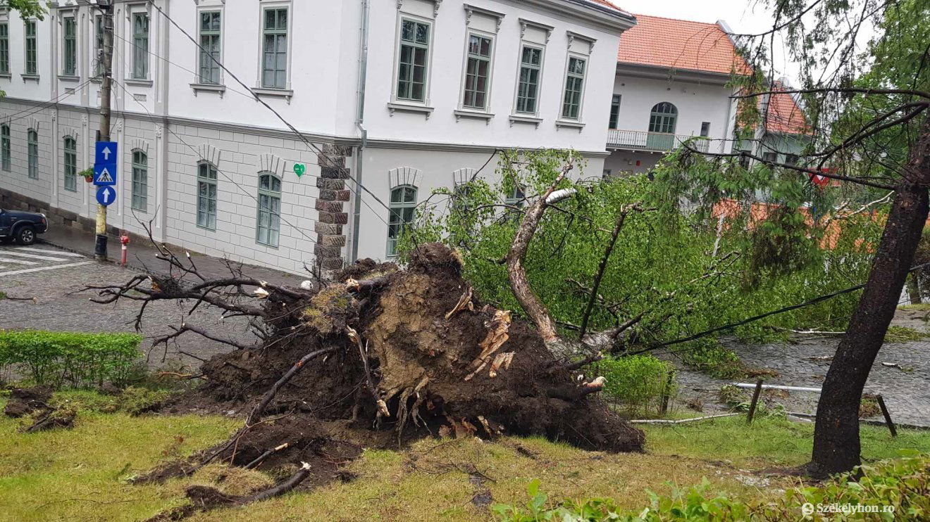 •  Fotó: Székelyhon