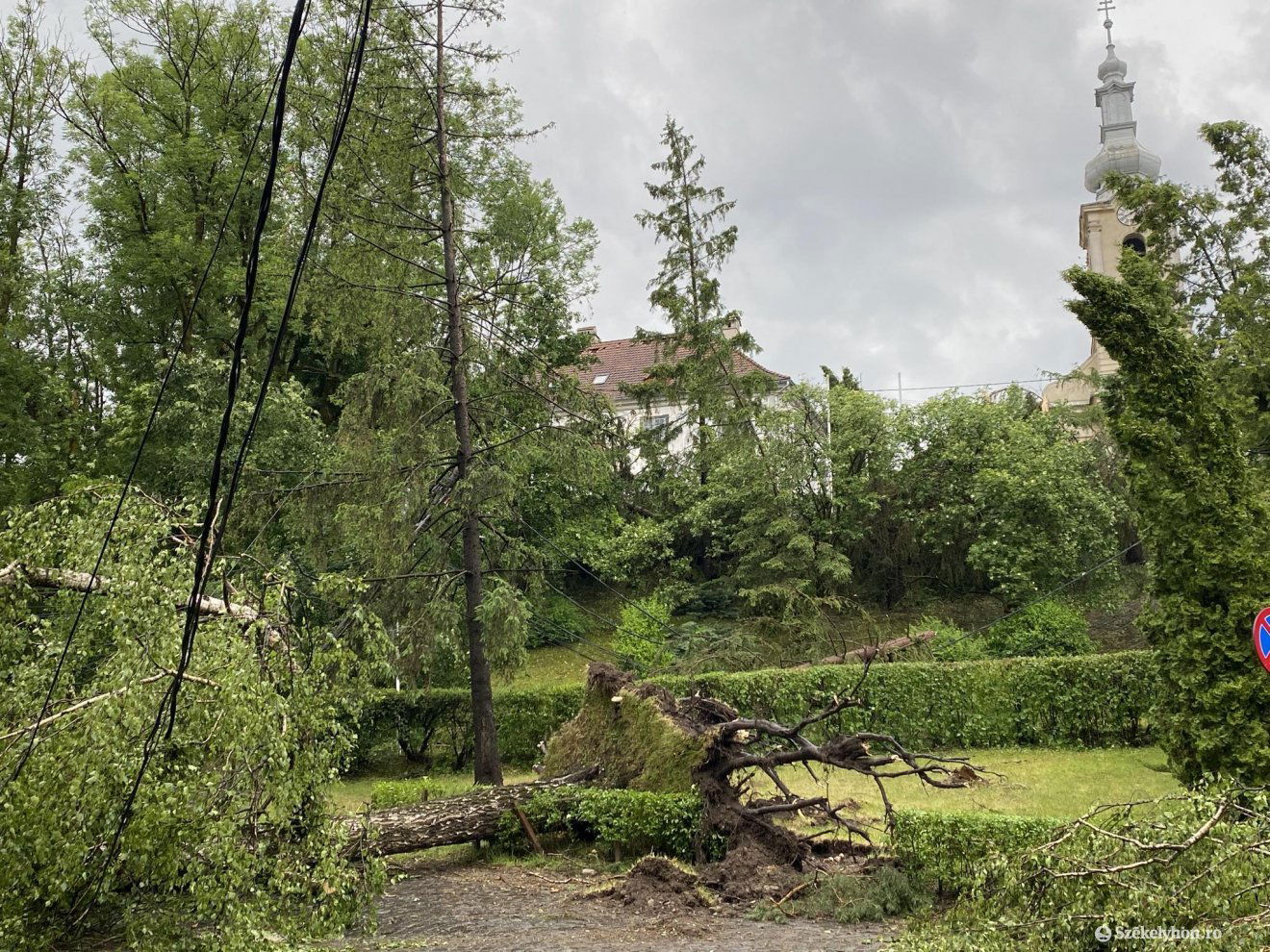 •  Fotó: Székelyhon
