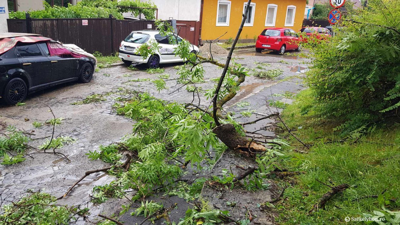 •  Fotó: Székelyhon