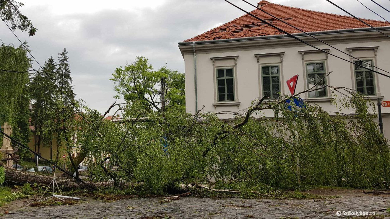 •  Fotó: Székelyhon