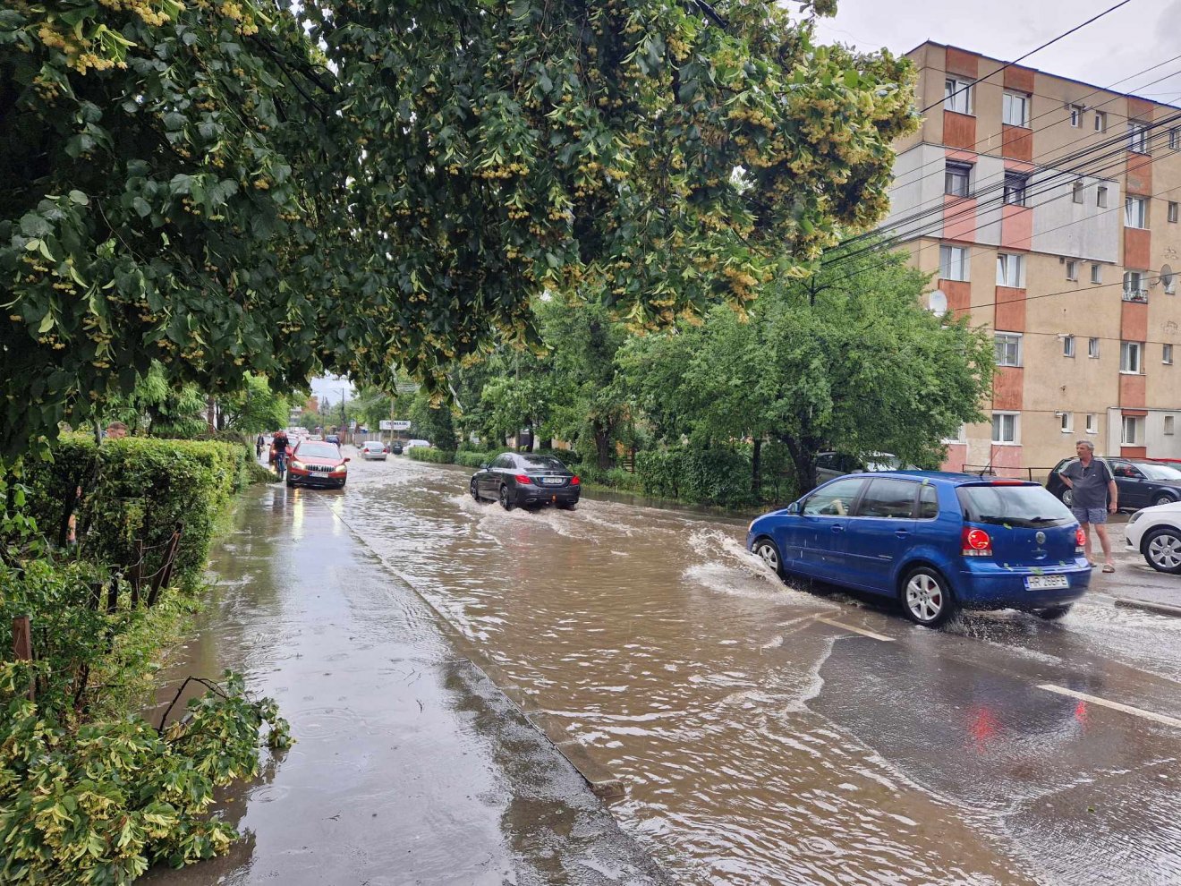 •  Fotó: Fülöp Székely Botond