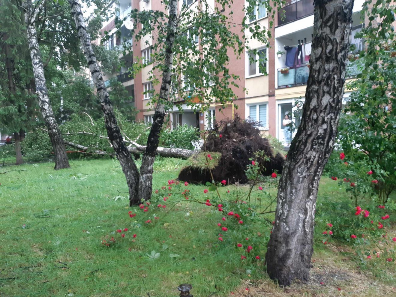 •  Fotó: Székelyhon