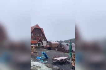 Májusi fehérség a Hargitán – videó