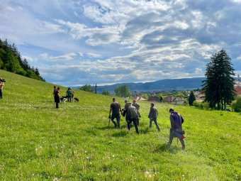 Vadászkutyák segítségével hajtották el az anyamedvét bocsaival a Nagy-Somlyóról
