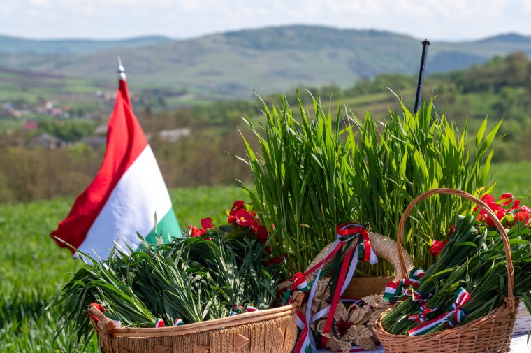 Piros-fehér-zöld szalagos búzaszentelés a Mezőség szívében