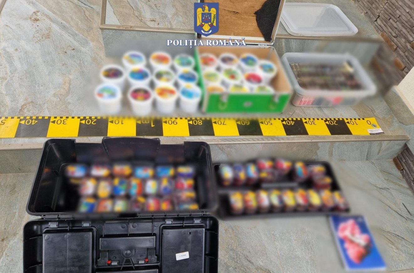 •  Fotó: Hargita Megyei Rendőr-főkapitányság