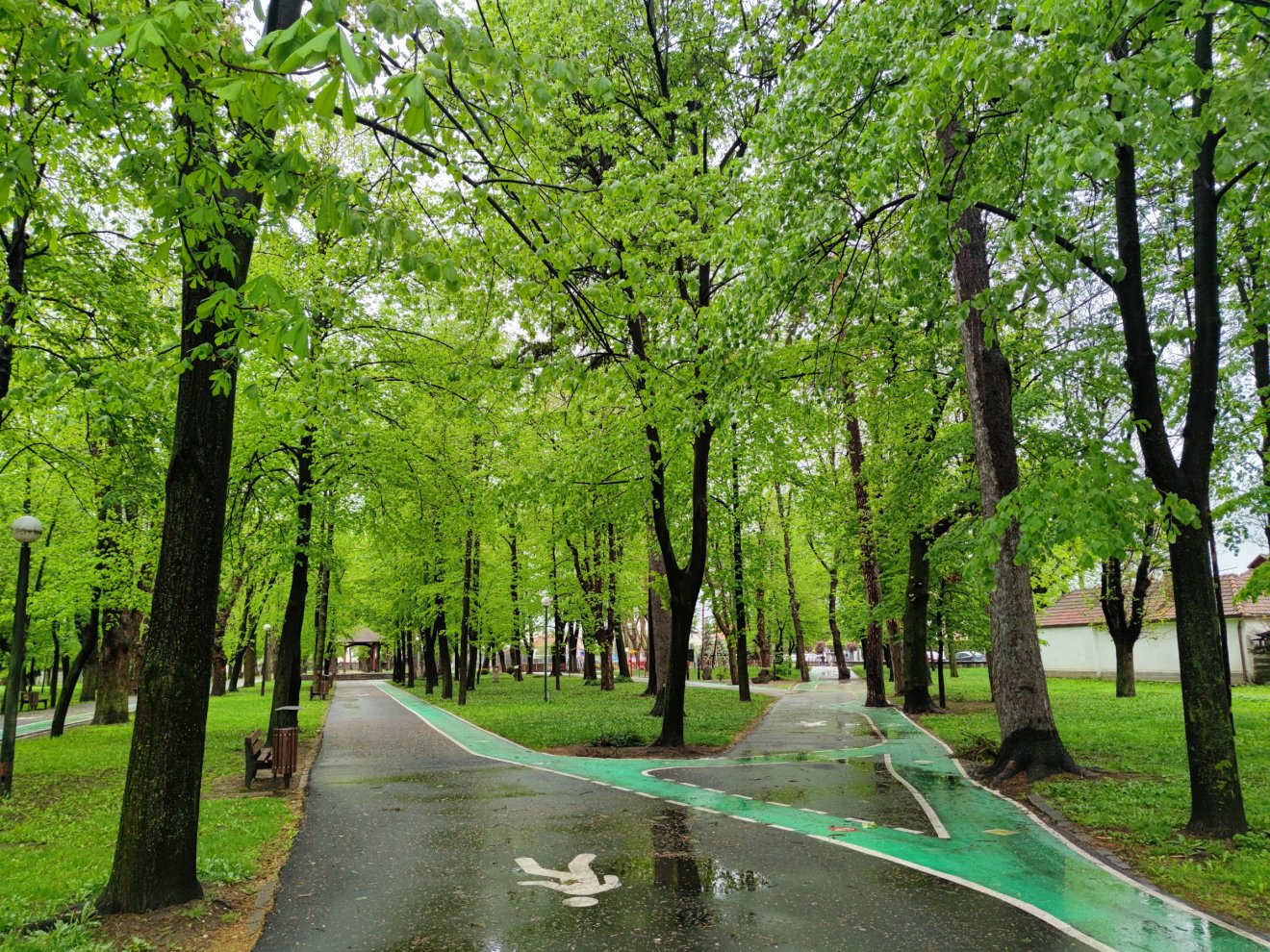 A Molnár Józsiás park a város legrégebbi zöldövezete •  Fotó: Farkas Áron