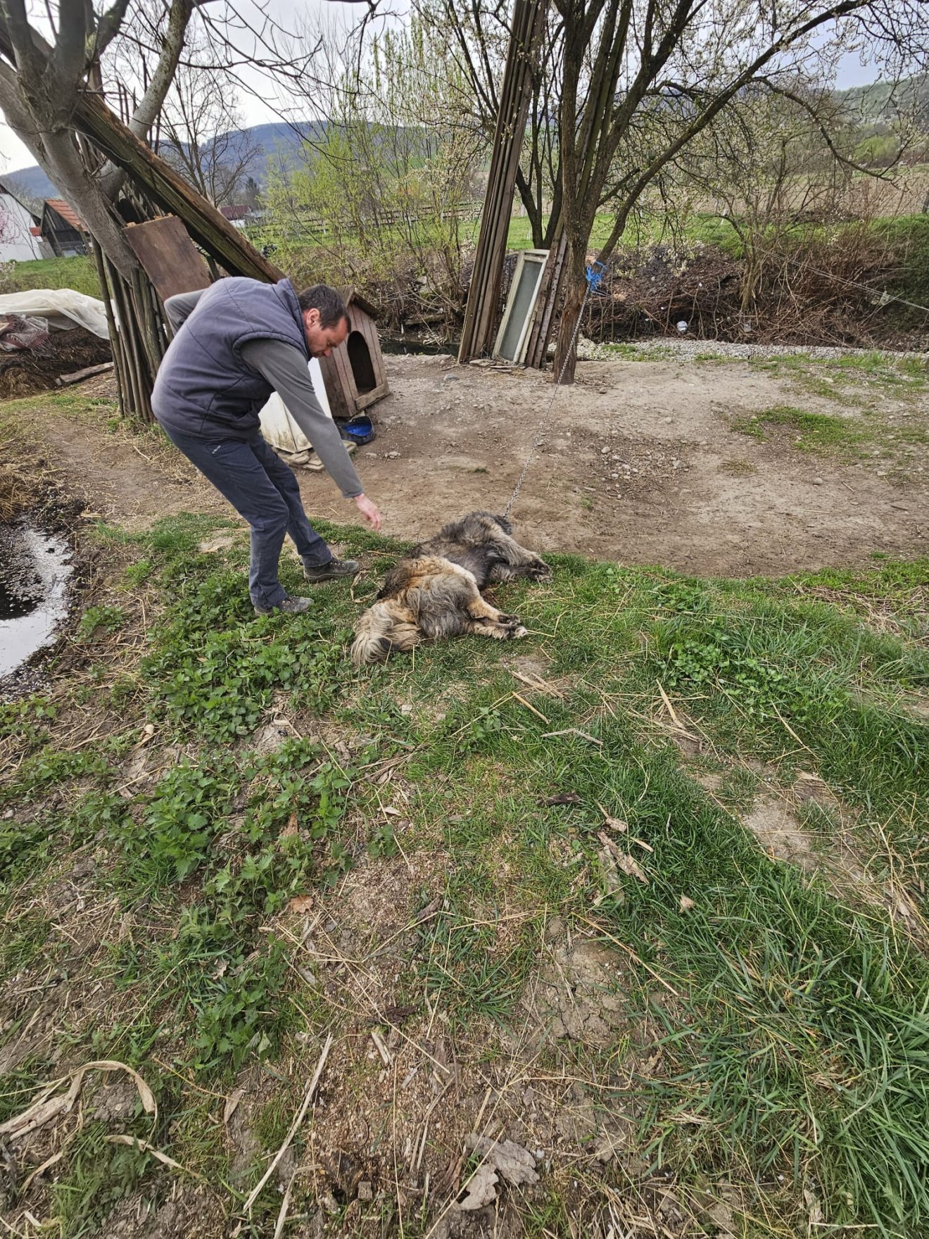 •  Fotó: Siménfalva Polgármesteri Hivatala