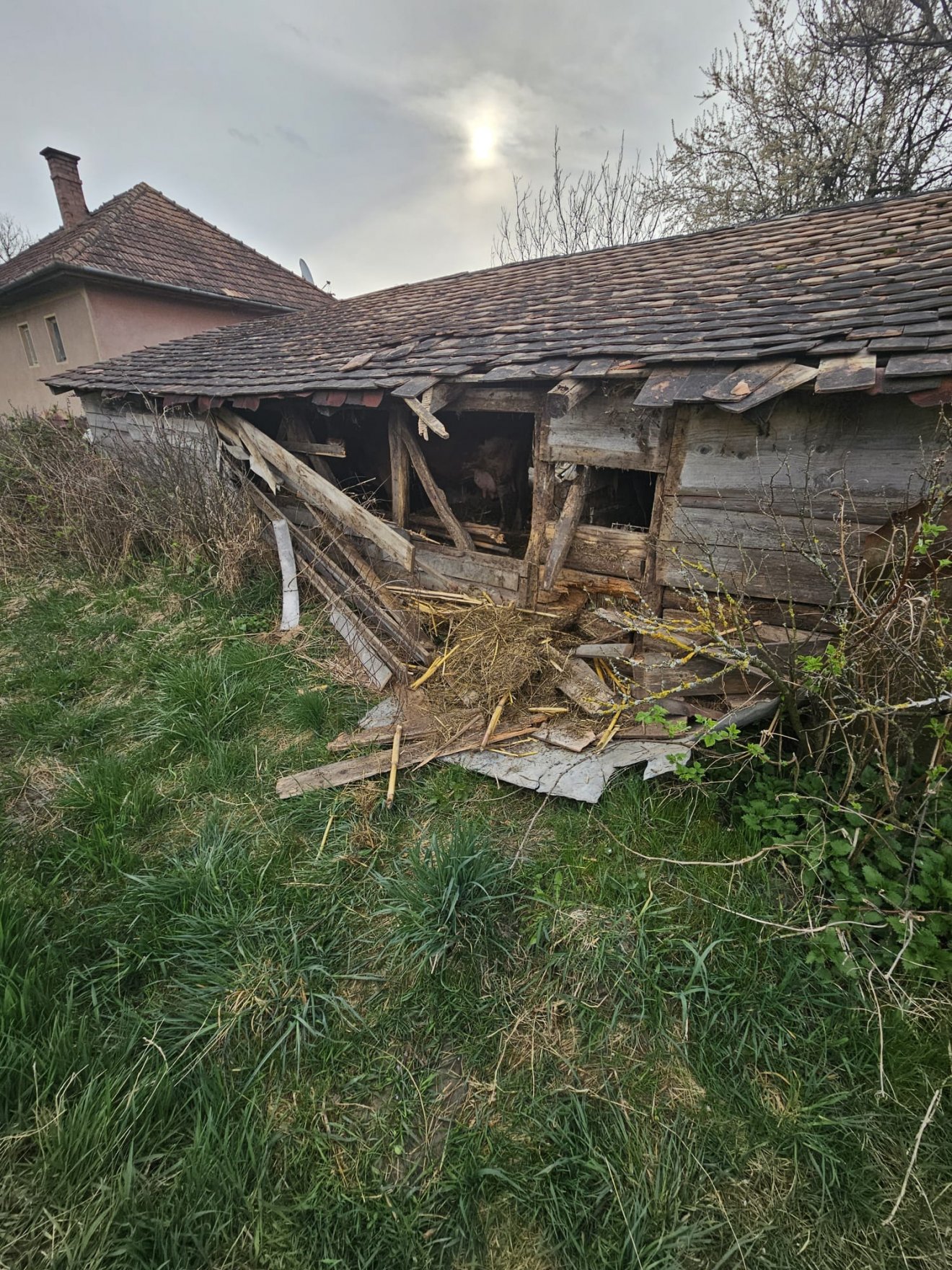 •  Fotó: Siménfalva Polgármesteri Hivatala