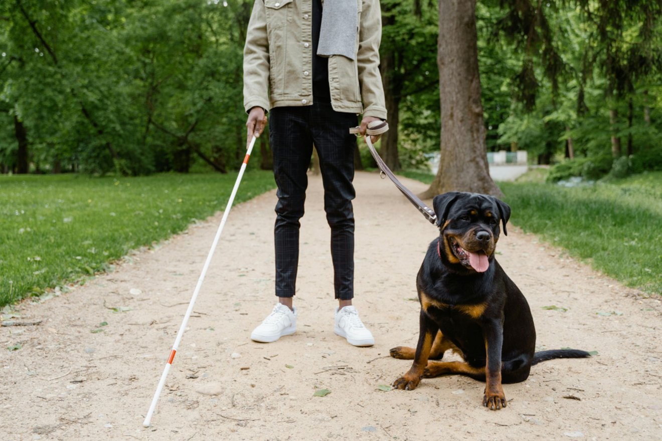 Képünk illusztráció •  Fotó: Pexels