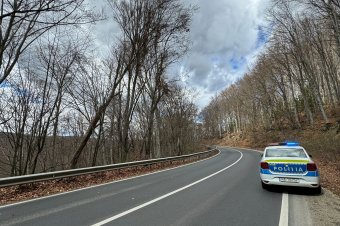 Közlekedésre veszélyes fa miatt korlátozták a forgalmat