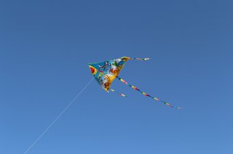 Majdnem tragikus vége lett a sárkányeregetésnek