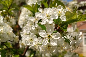 Csak szombatig kell kibírnunk a hideget, utána ismét érkezik a felmelegedés