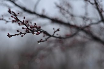 Élvezze a vasárnapi napsütést amíg tart, mert újból esős napok következnek