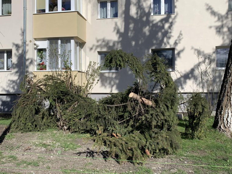 Ezrek maradtak áram nélkül Hargita megyében a keddi vihar során