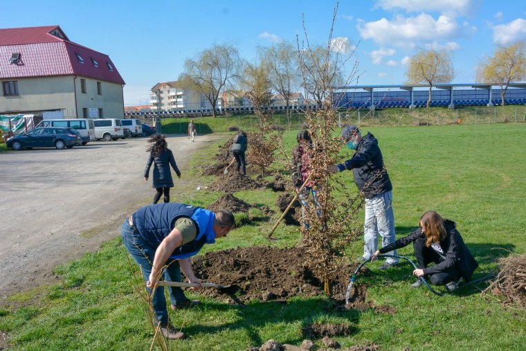 Tizennegyedszer szerveznek Tavaszi Zöld Napokat Kézdivásárhelyen
