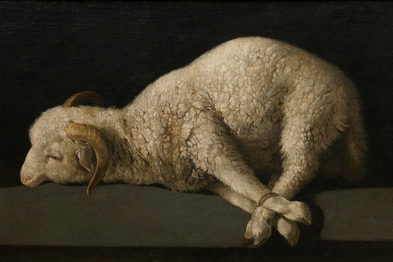 Francisco de Zurbarán: Agnus Dei •  Fotó: Museo del Prado, Madrid