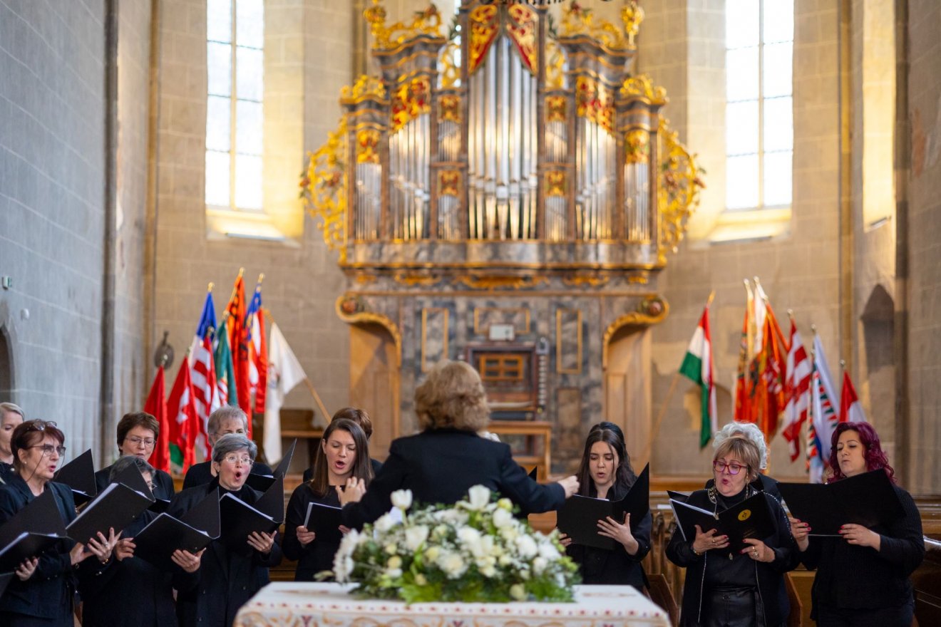 koncert