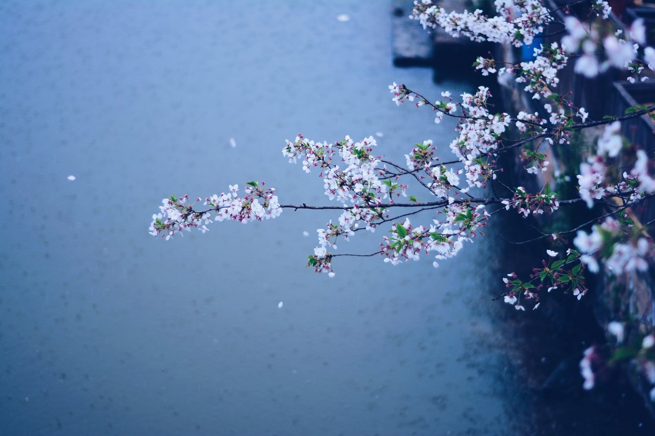 •  Fotó: Pixabay