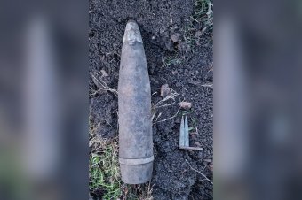 Szerencse Csíkszéken: évtizedek óta ott lehetett a kertben, és most megtalálta