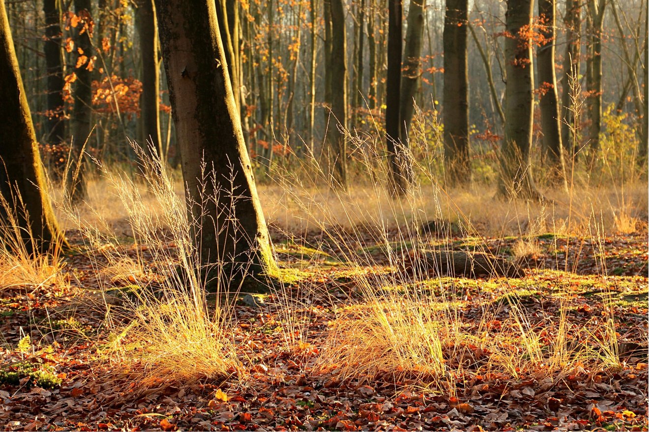 Képünk illusztráció •  Fotó: Pixabay