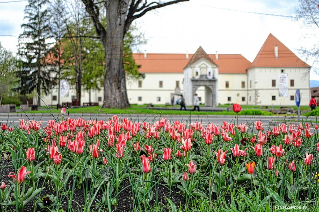 Archív •  Fotó: Veres Nándor