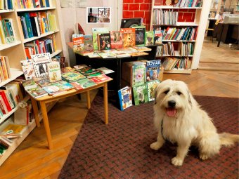 Állatbarát könyvtárprogram Sepsiszentgyörgyön