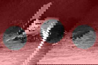 Egy bent, kettő kint – videón, ahogy csapdába szorul az egyik bocs, társa és anyja pedig ijedtében elszalad