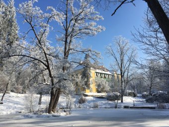 Gyertyafényes korcsolyázás a zabolai kastélyparkban