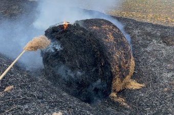 Apró tarlótűzhöz vonult ki hat tűzoltó Szőkefalván