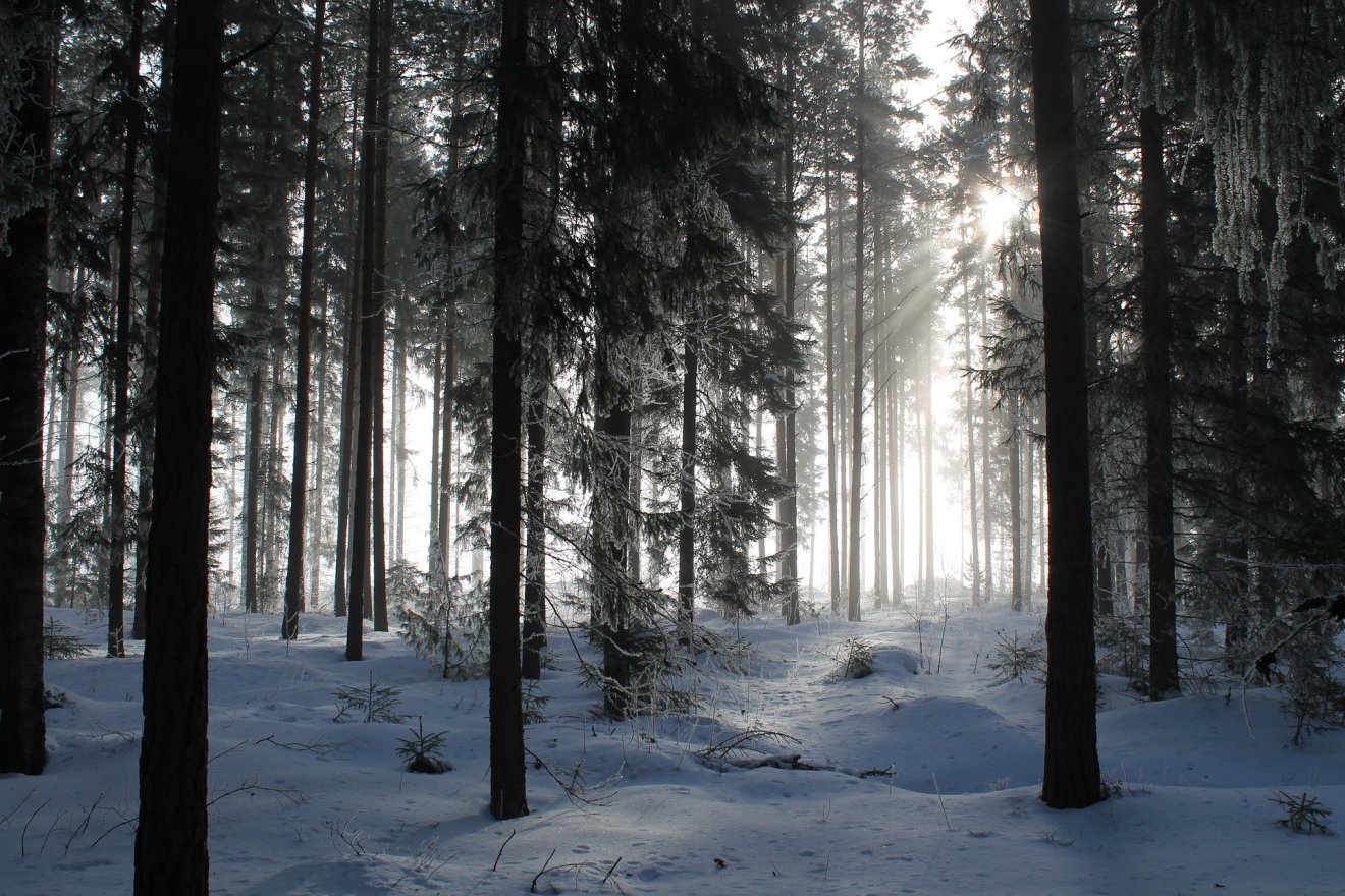 Képünk illusztráció •  Fotó: Pixabay