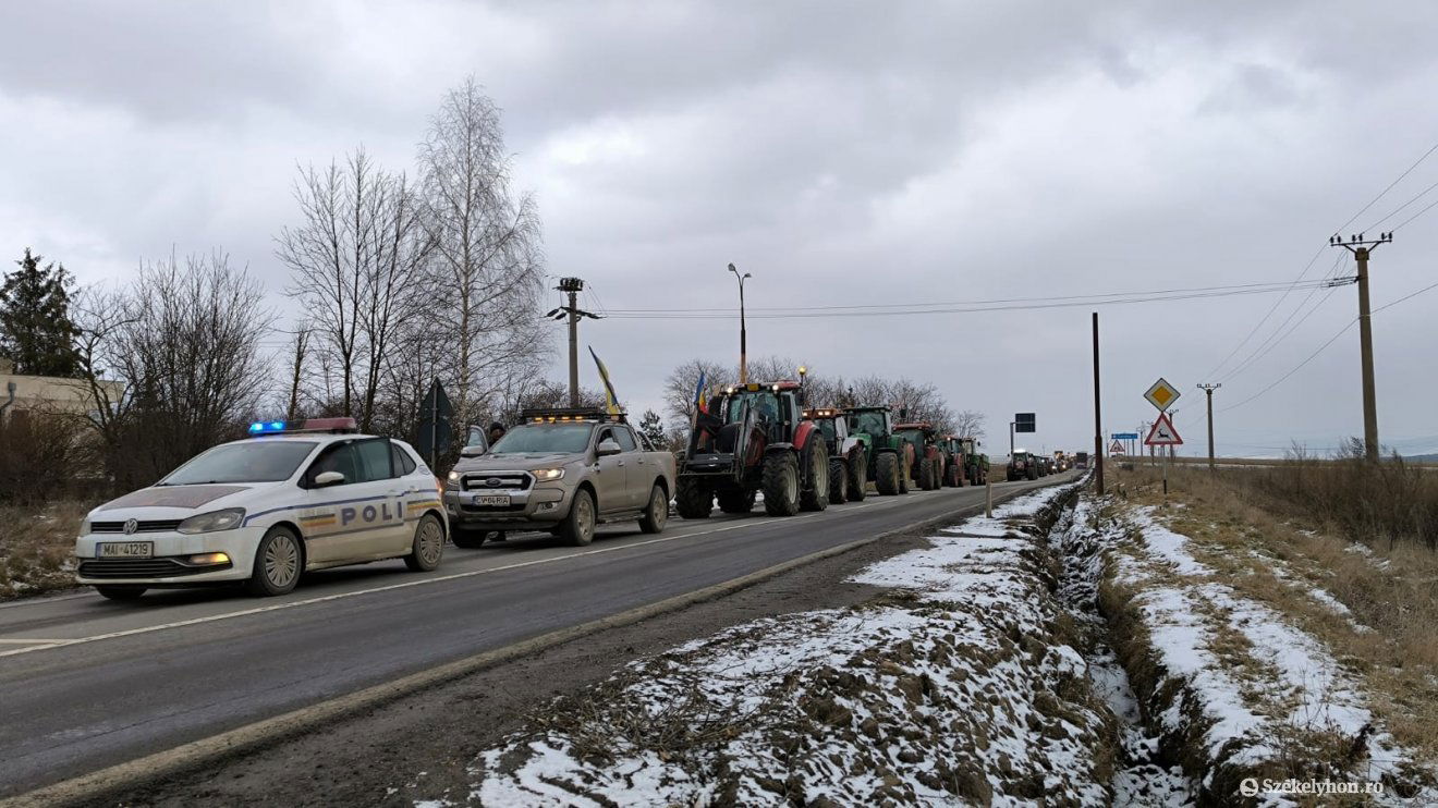 •  Fotó: Farkas Orsolya