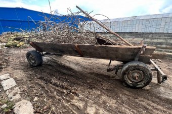 Gazdátlanul kószáló állatok, csendháborítók, illegális árusok