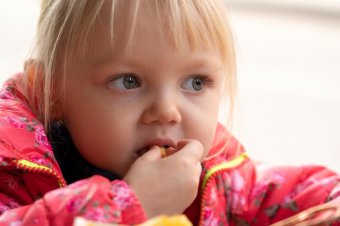 Nincs elég támogató, így csak a rászoruló gyerekek egy része kap ingyen ebédet