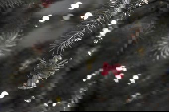 „Karácsony a reményünk forrása” – Pál József Csaba temesvári megyés püspök karácsonyi üzenete