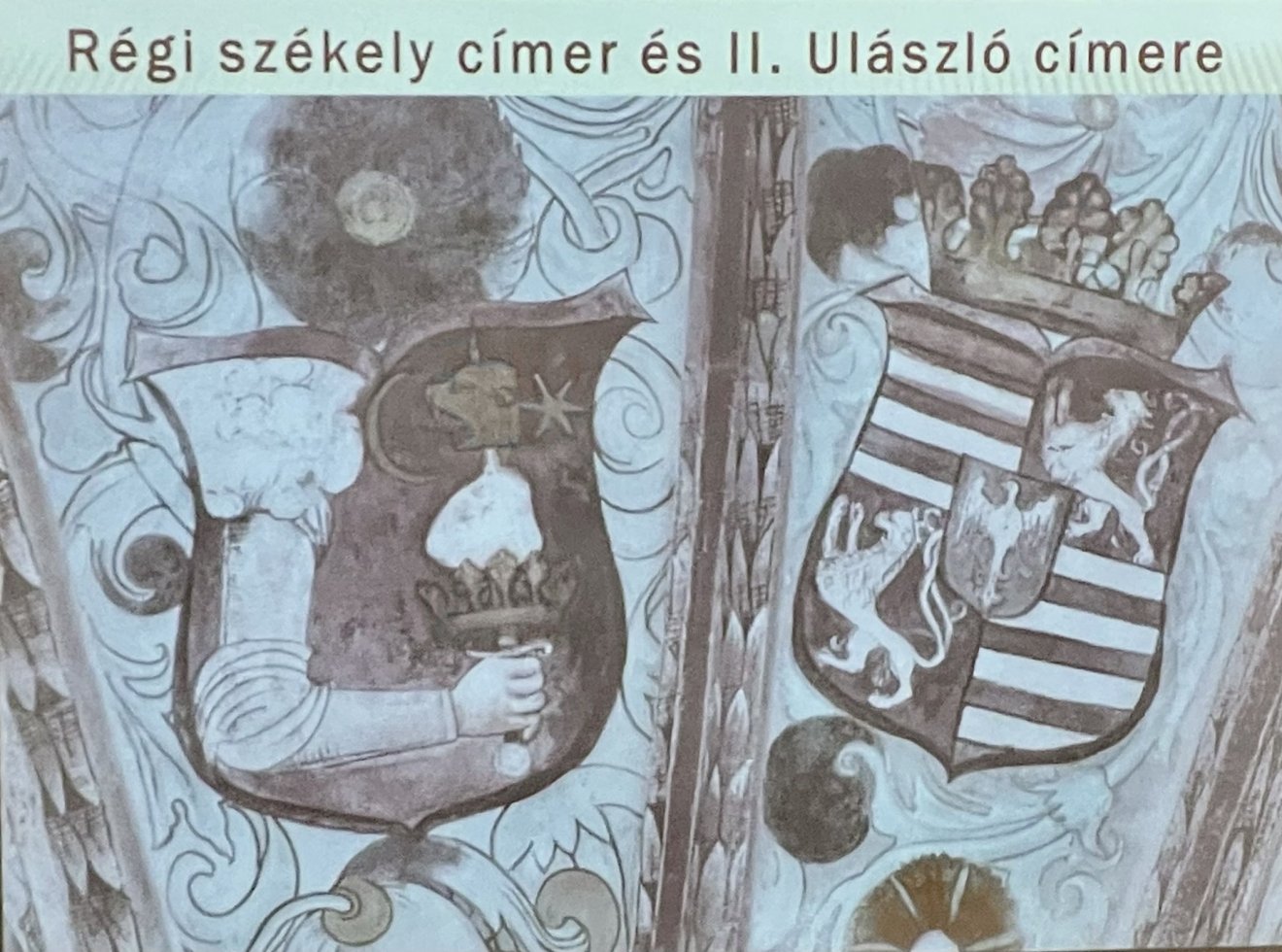 A székelydályai templom mennyezete. A balról látható címer hátrafelé fordul, mert a címertani udvariasság jegyében nem fordíthatott hátat az uralkodó, II. Ulászló címerének. Vörös mezőben, egy páncélos kardjára korona, szív és medvefej van szúrva és két o •  Fotó: Farkas Orsolya