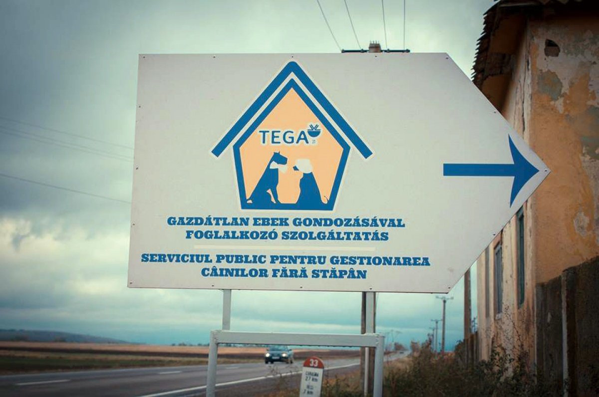 A TEGA Rt. decemberben is szervez nyílt napot •  Fotó: TEGA Rt.