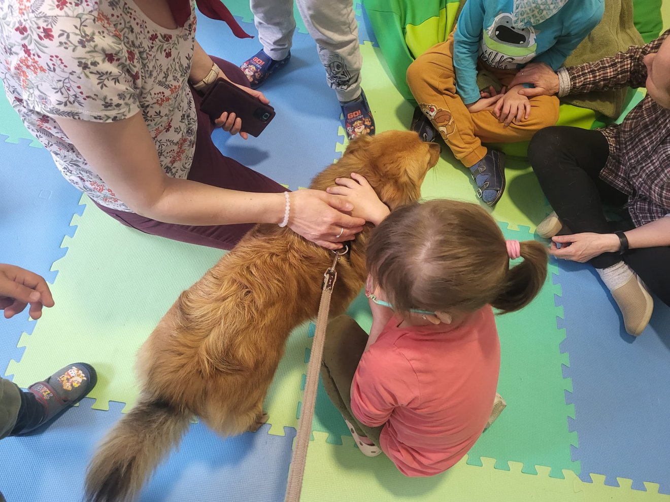 Ennek a kutyusnak szerencséje volt, nagyon sok társa azonban az utcákon csatangol •  Fotó: Justice for Animals Facebook-oldala