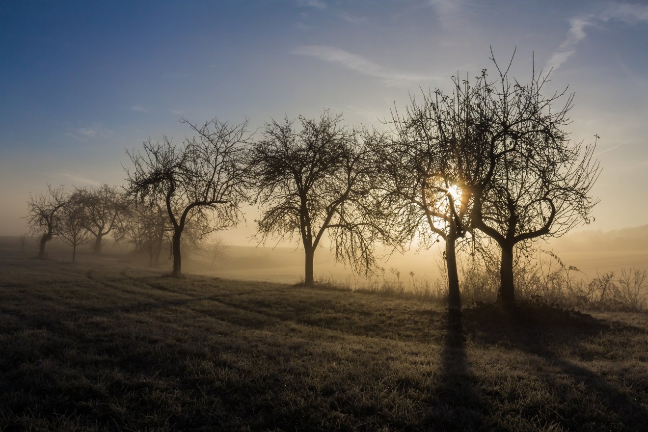Képünk illusztráció •  Fotó: Pixabay