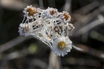 Öltözzünk fel: a holnapi lehet a leghűvösebb reggel ebből a hidegfrontból