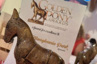 Szakmai elismerésben részesítették a Mini-Erdély Parkot