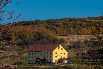 Út a változás felé: nem lehet, és nem is kell egyedül harcba szállni a szenvedélybetegséggel