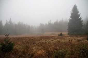Köddel indul a hét öt erdélyi megyében, az utak is csúszósak lehetnek