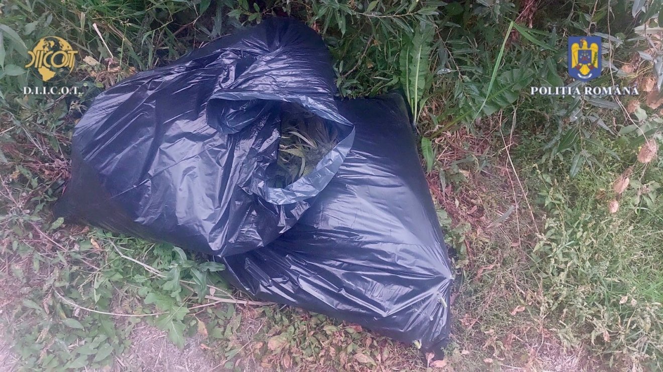 •  Fotó: DIICOT/Maros Megyei Rendőr-főkapitányság