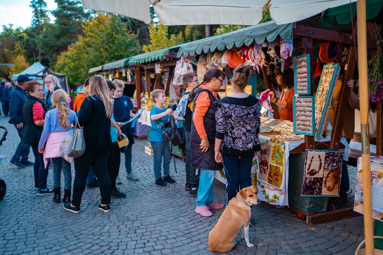 •  Fotó: Sepsiszentgyörgy Önkormányzatának Facebook-oldala